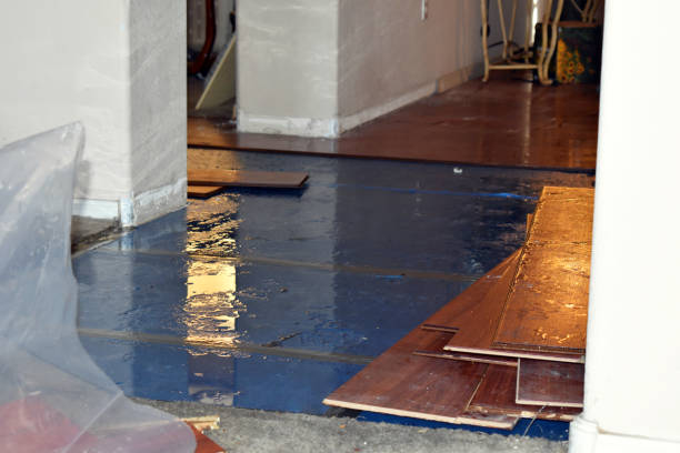 Professional Sewage Cleanup technician working in Laurier, WA